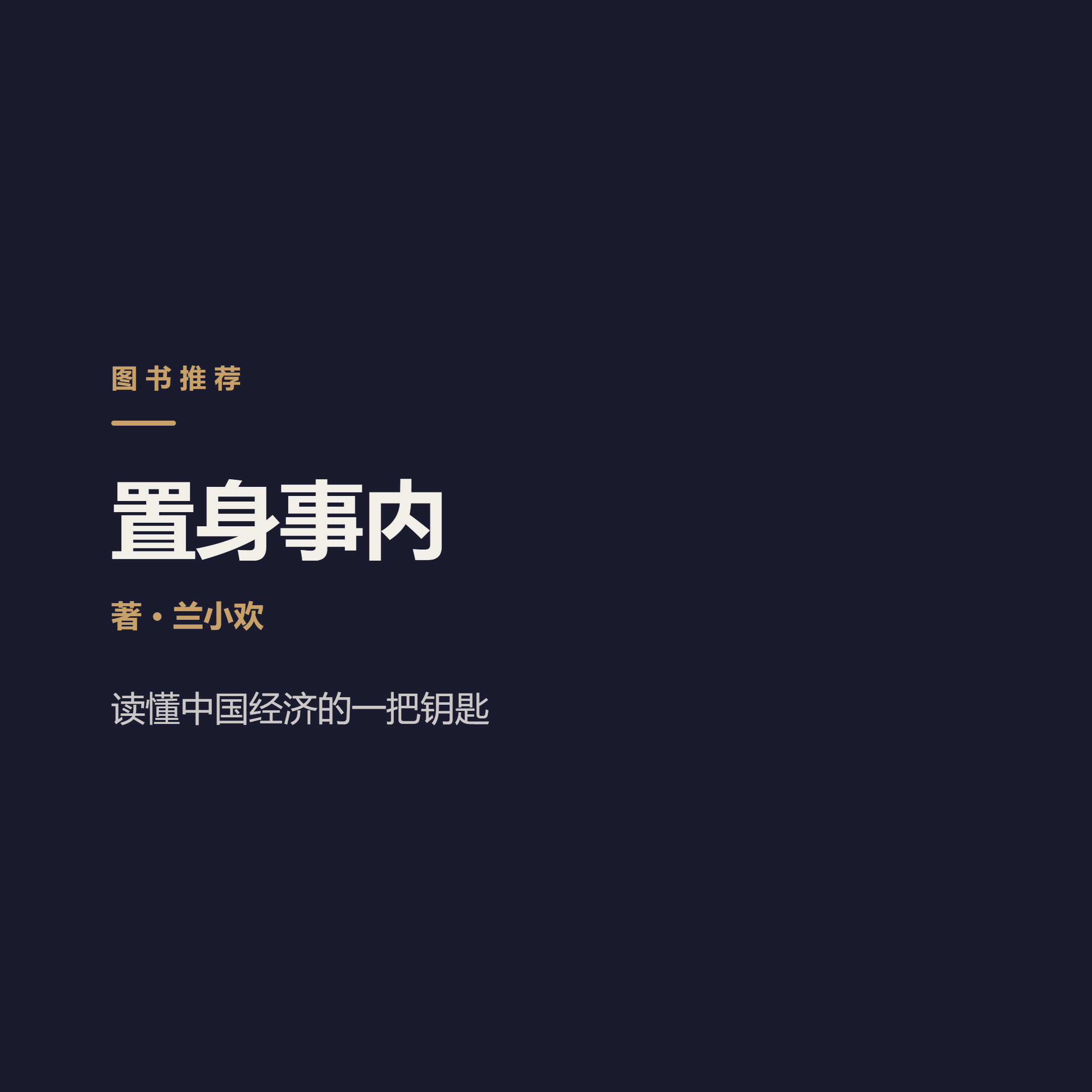 读懂中国经济，先读懂政府这只手 Lan Xiaohuan